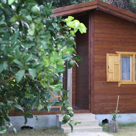 Maji Village Çıralı エクステリア 写真