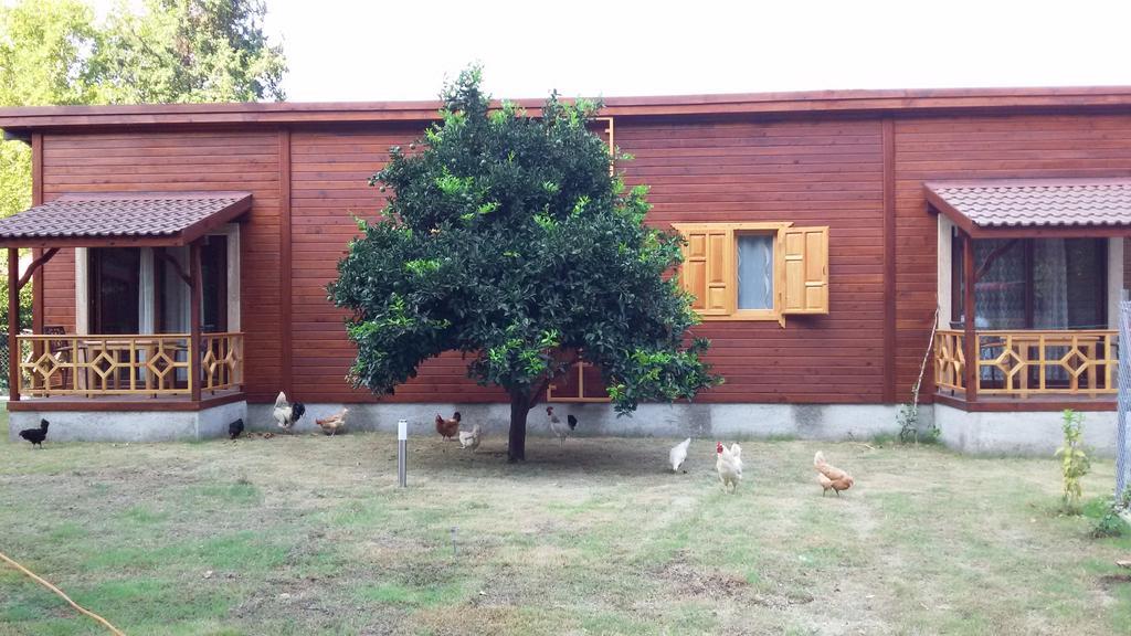 Maji Village Çıralı 部屋 写真