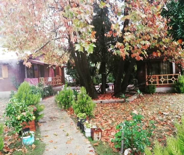 Maji Village Çıralı エクステリア 写真