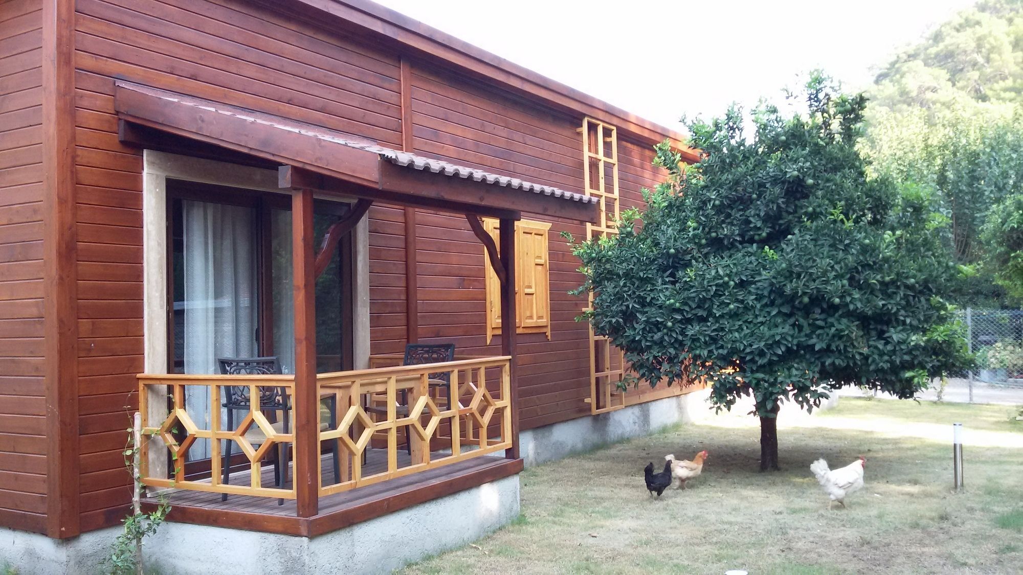 Maji Village Çıralı エクステリア 写真